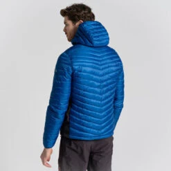 Craghoppers Men's ExpoLite Insulated Hooded Jacket | Picotee Blue CMN279 -Crag Clothing Shop EXPOLITEPICOTEEBACK