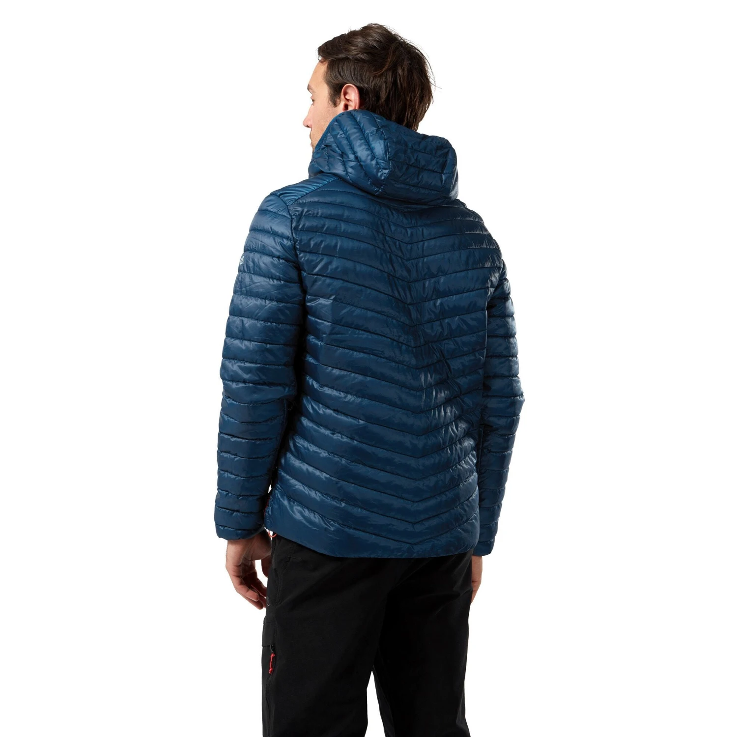 Craghoppers Men's Expolite Hooded Compressible Fill Jacket CMN258 Poseidon Blue 5 Craghoppers Men's Expolite Hooded Compressible Fill Jacket CMN258 Poseidon Blue - Image 3