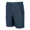 Regatta Men's Leesville II Shorts Moonlight Denim